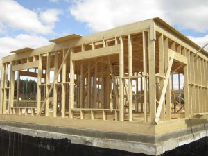 Какой утеплитель лучше выбрать для каркасного дома | Knauf Penoplast